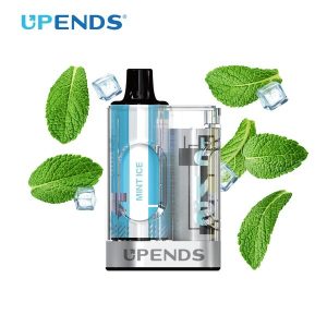 UPENDS SWITCH 4500 PUFF DISPO KIT (MINT ICE 50MG)