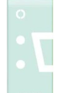 ELFBAR POD EW9000 MIAMI MINT