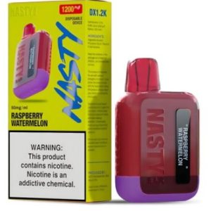 NASTY 1200 RASPBERRY WATERMELON
