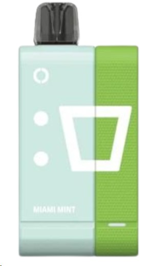 ELFBAR KIT EW9000 MIAMI MINT