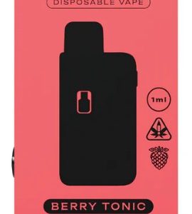 TRAVELERS DISPO VAPE 1ML BERRY TONIC (HYBRID)