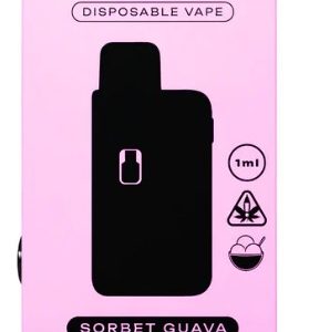 TRAVELERS DISPO VAPE 1ML SORBET GUAVA (SATIVA)